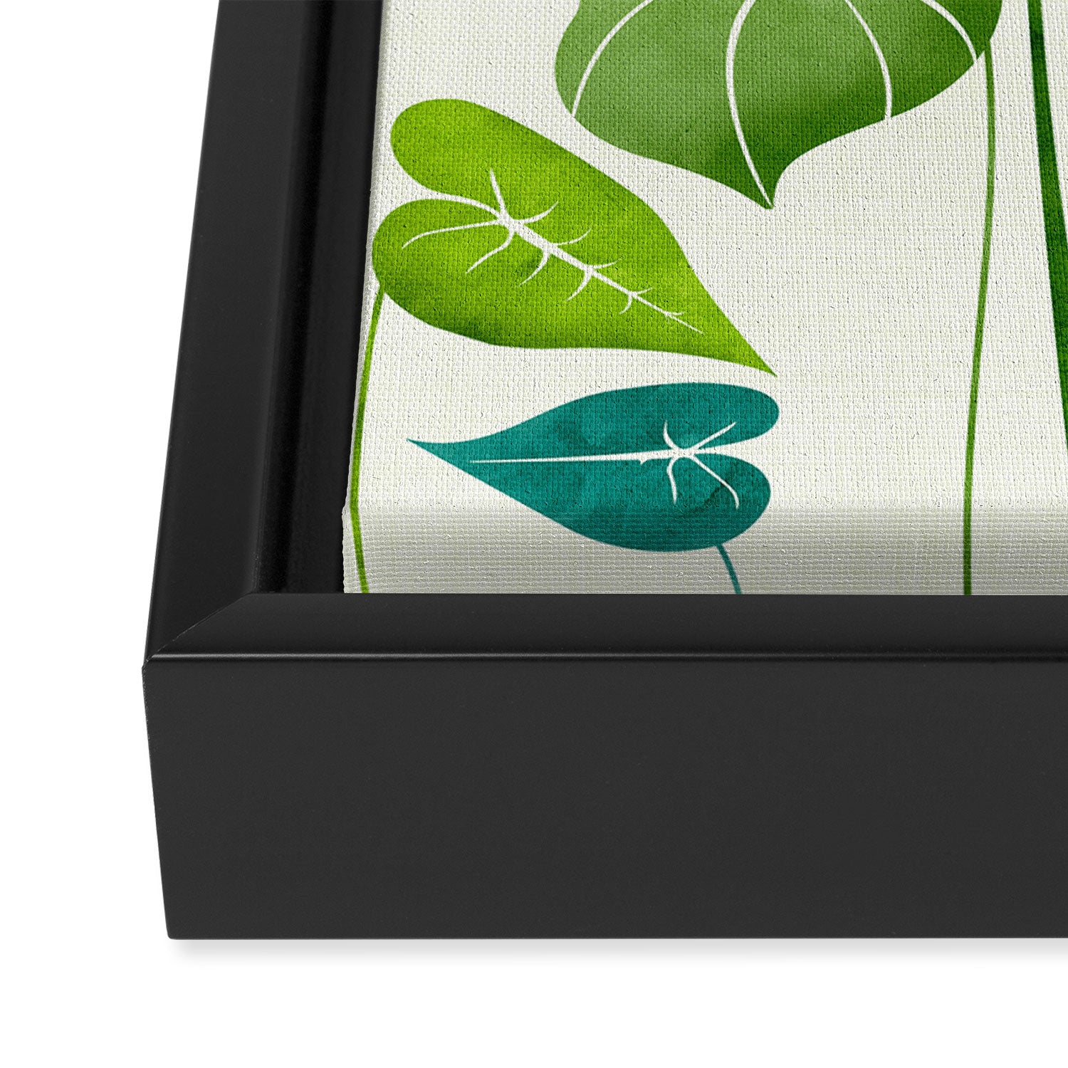 Tropical Plant Study Framed Canvas Print Gallery Image 3