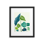 Tropical Plant Study Framed Art Print Gallery Image 5