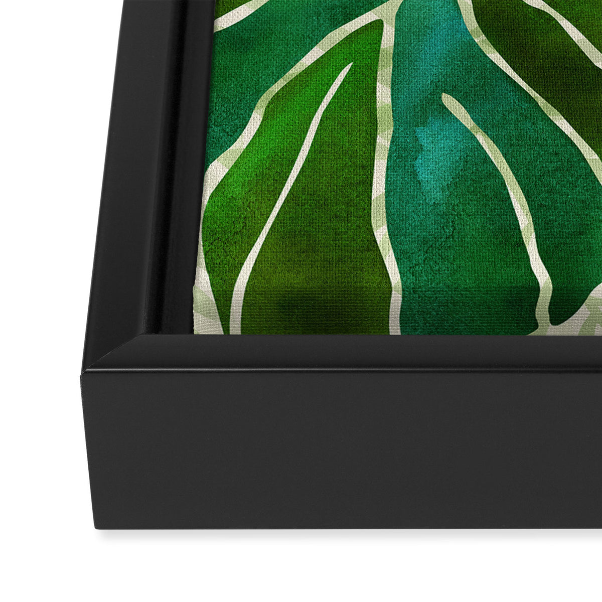 Tropical Plants Monstera Leaf Framed Canvas Print Gallery Image 3