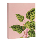 Upstart Pink and Green Houseplant Canvas Print Gallery Image 6