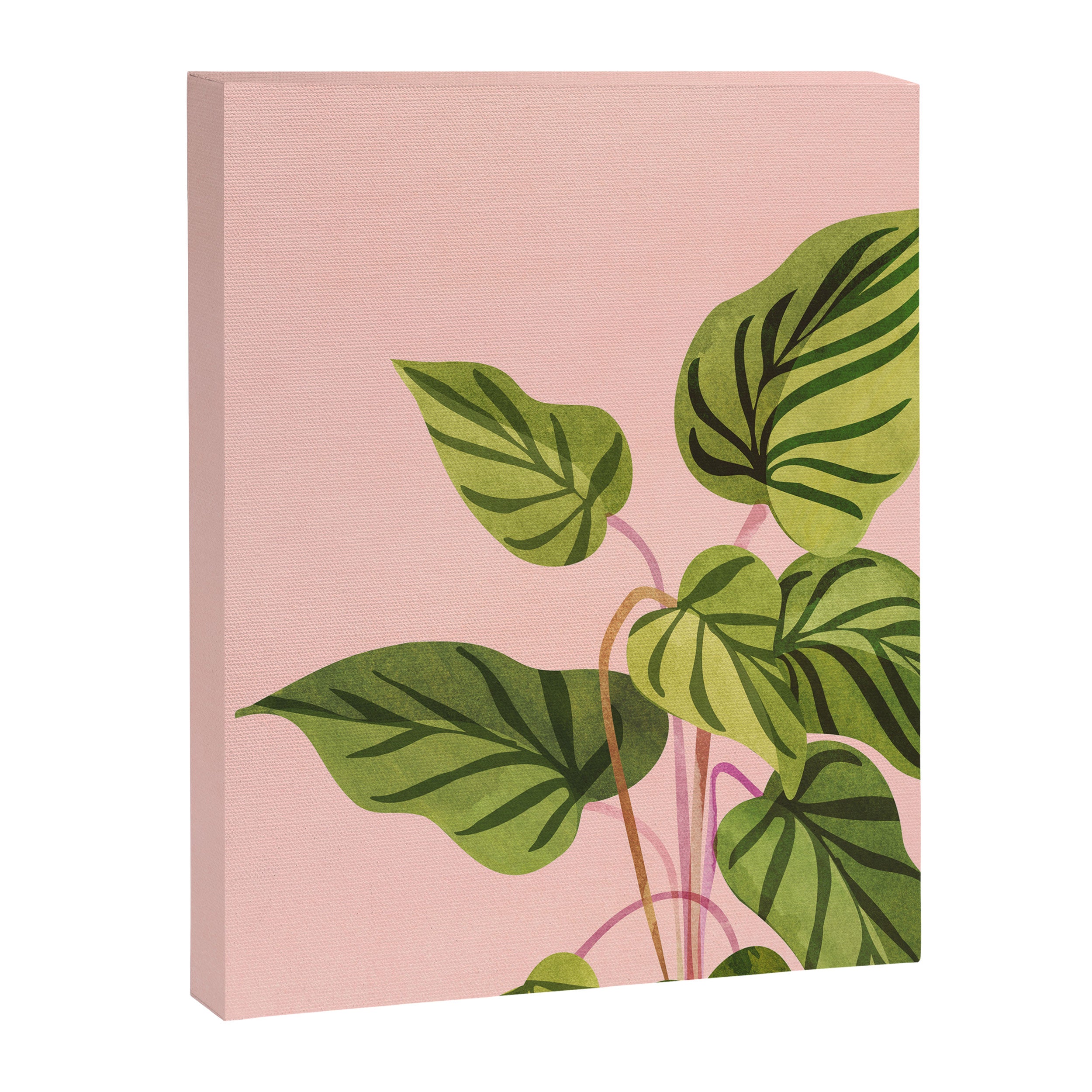 Upstart Pink and Green Houseplant Canvas Print Gallery Image 6