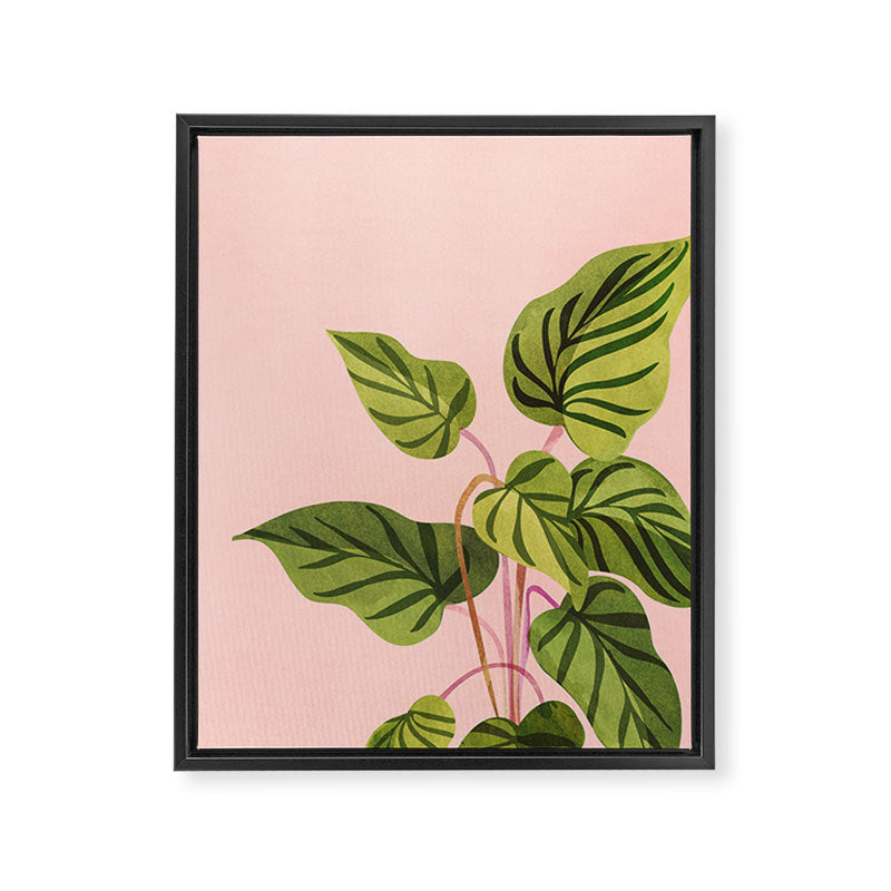 Upstart Pink and Green Houseplant Framed Canvas Print Gallery Image 6