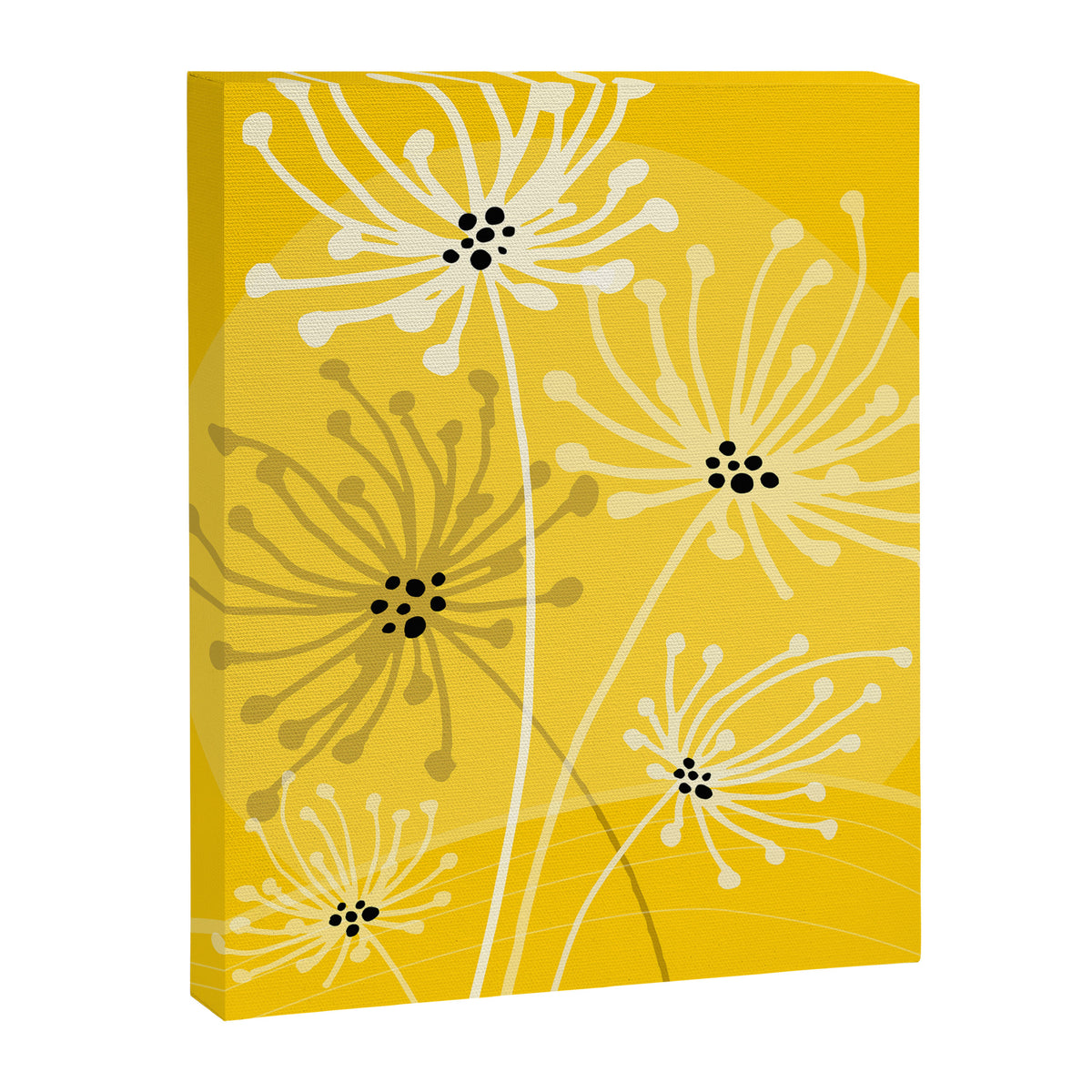 Yellow Queen Anne's Lace Illustration Canvas Print Gallery Image 8
