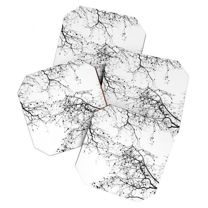 BLACK BRANCHES 2 Coaster Gallery Image 1