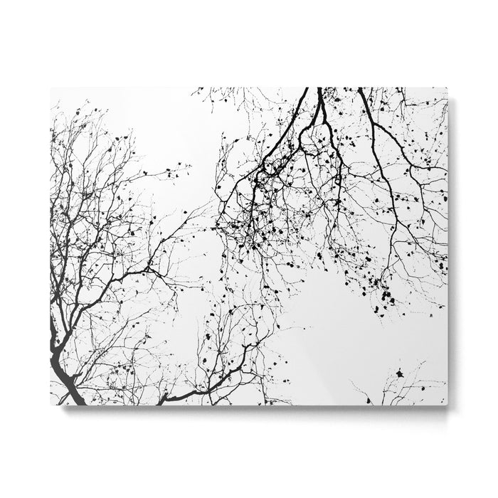 BLACK BRANCHES 2 Metal Print Gallery Image 1