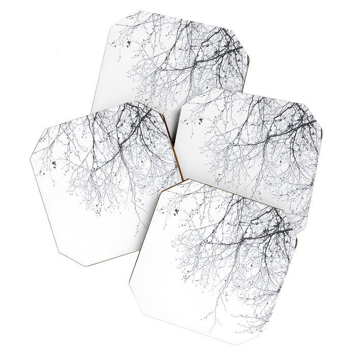 BLACK BRANCHES Coaster Gallery Image 1