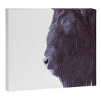 BLACK BUFFALO Canvas Print Gallery Image 6