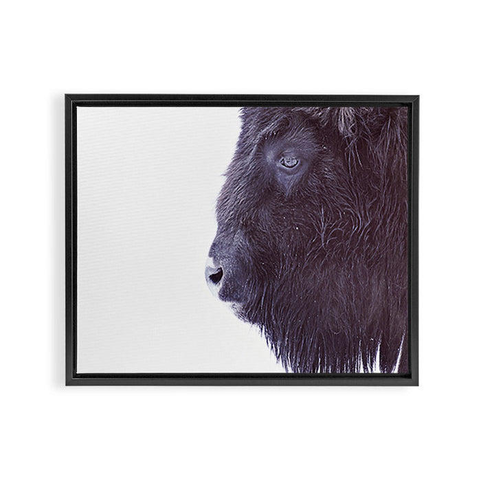 BLACK BUFFALO Framed Canvas Print Gallery Image 1