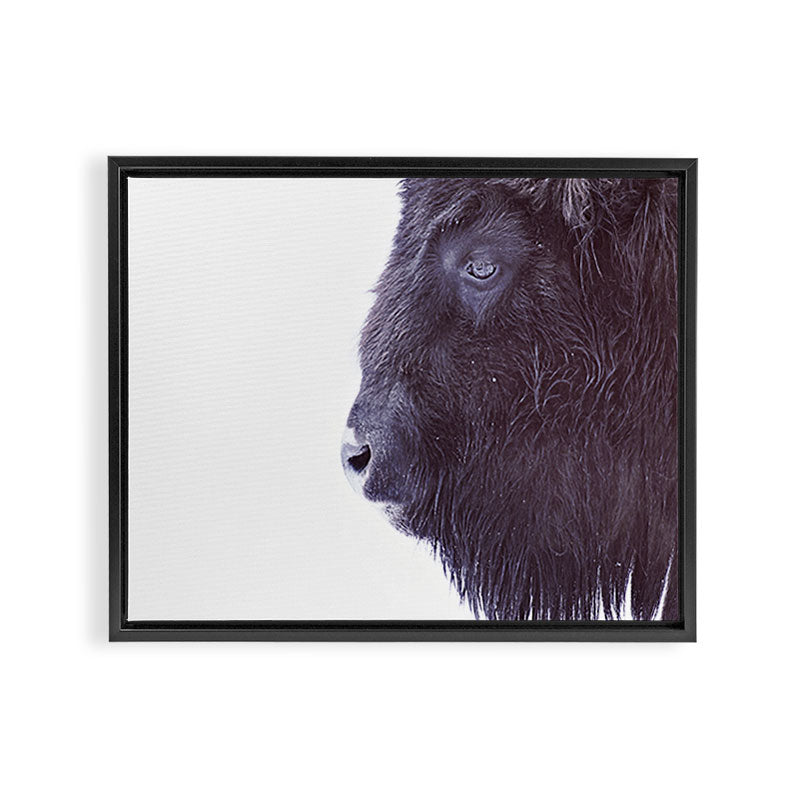 BLACK BUFFALO Framed Canvas Print Gallery Image 6