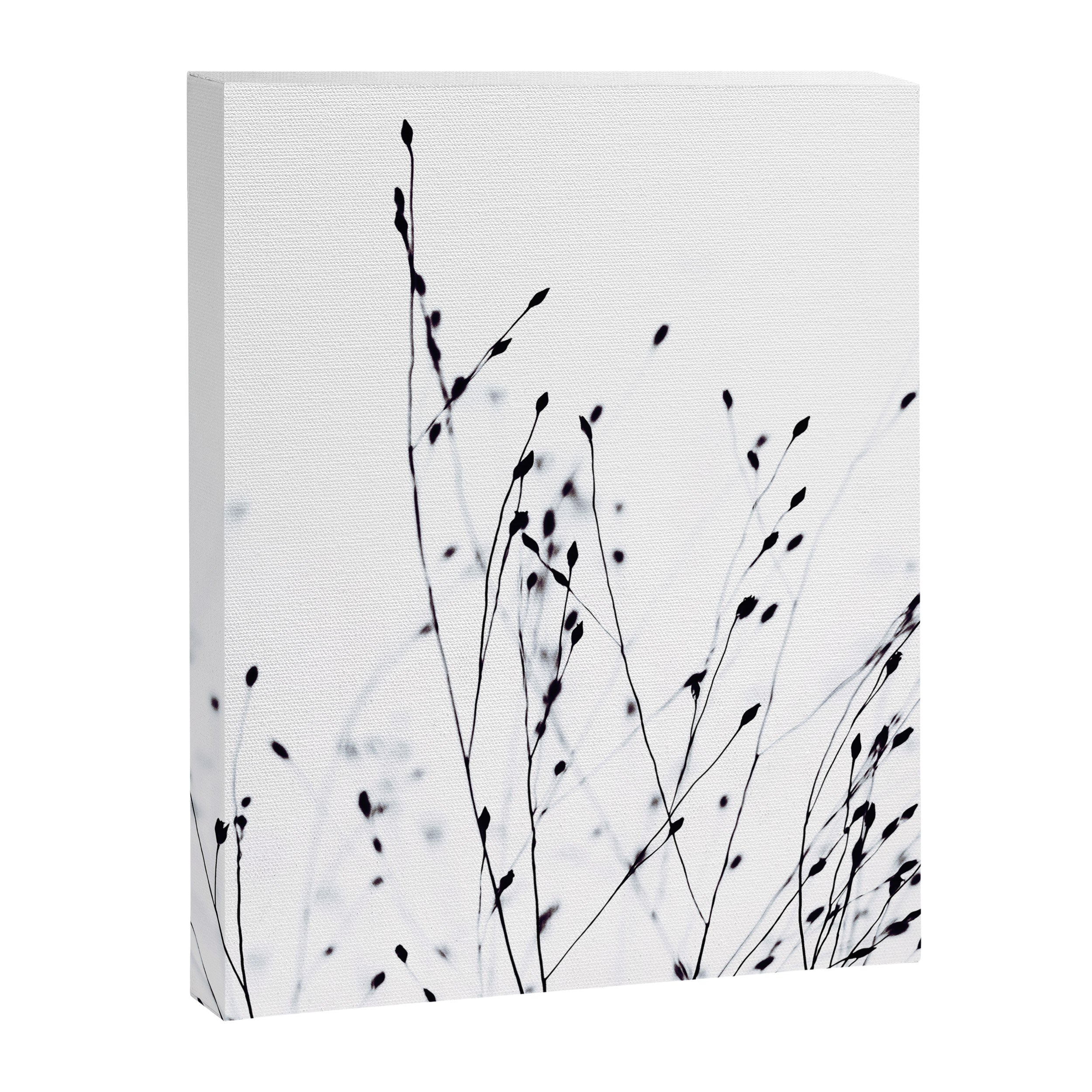 BLACK GRASS Canvas Print Gallery Image 8