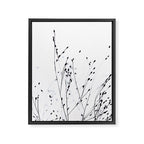 BLACK GRASS Framed Canvas Print Gallery Image 8