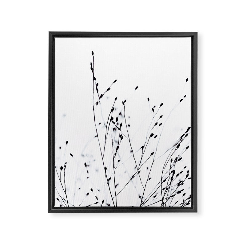 BLACK GRASS Framed Canvas Print Gallery Image 8