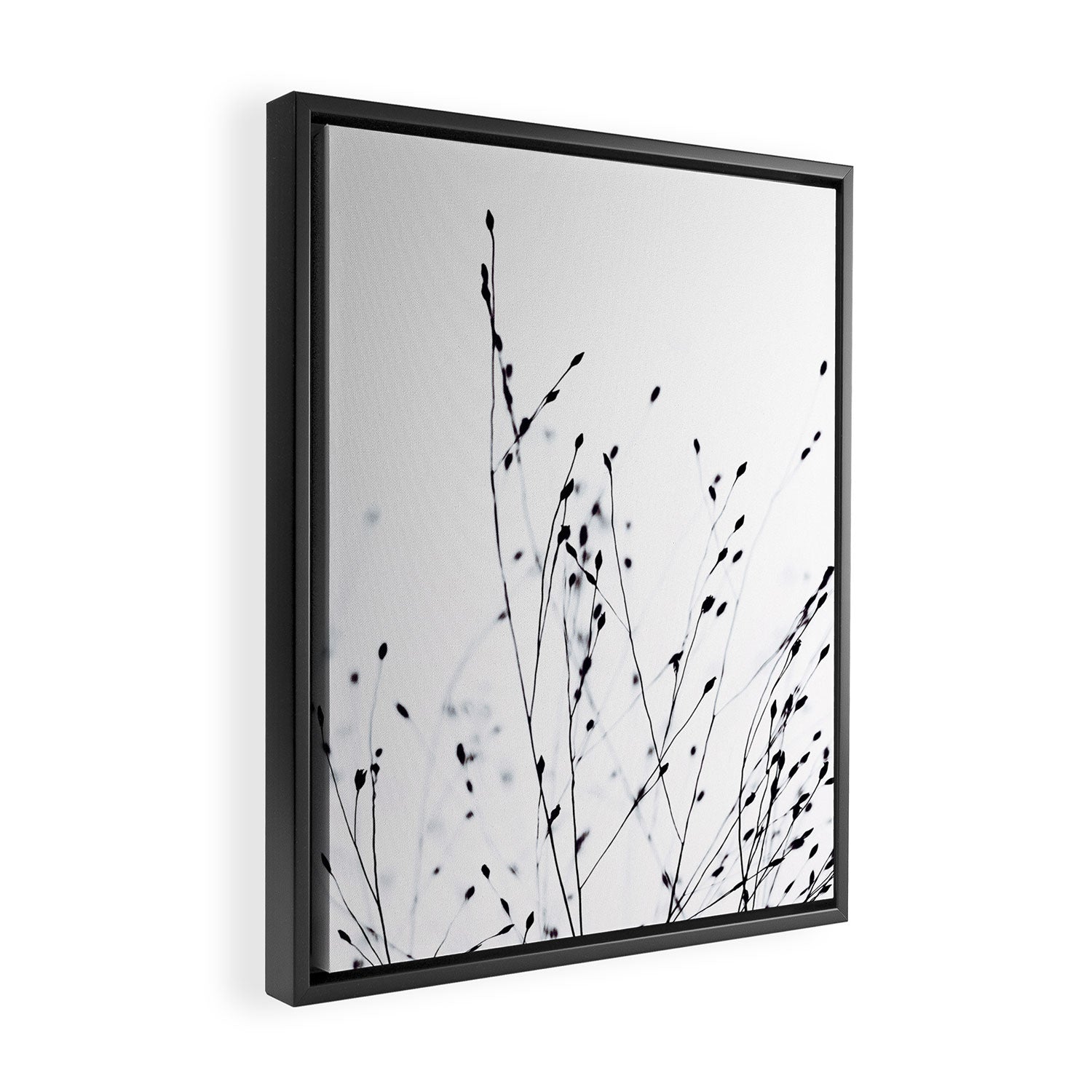 BLACK GRASS Framed Canvas Print Gallery Image 2