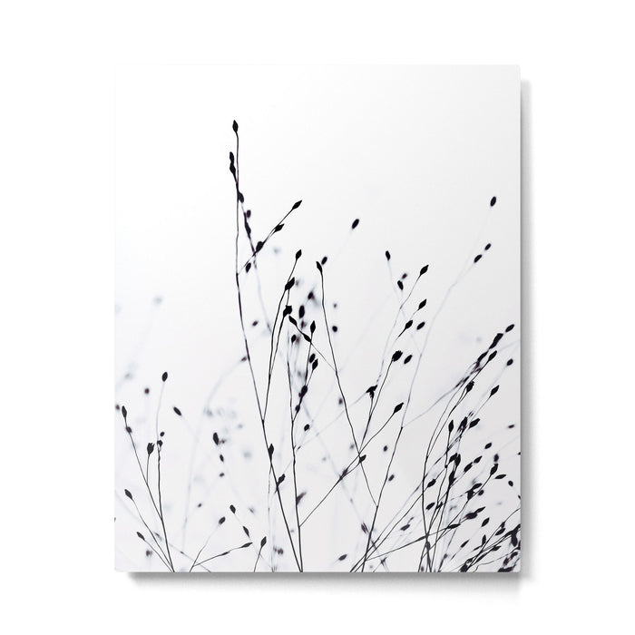 BLACK GRASS Metal Print Gallery Image 1