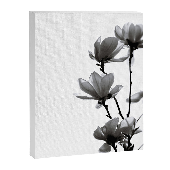 BLACK MAGNOLIA Canvas Print Gallery Image 1