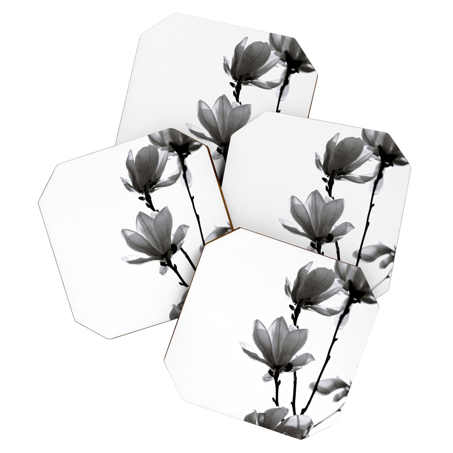 BLACK MAGNOLIA Coaster Gallery Image 1
