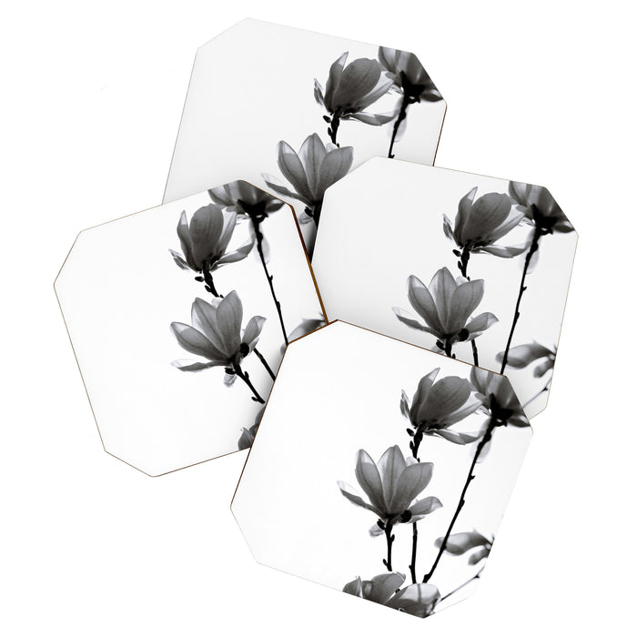 BLACK MAGNOLIA Coaster Gallery Image 1