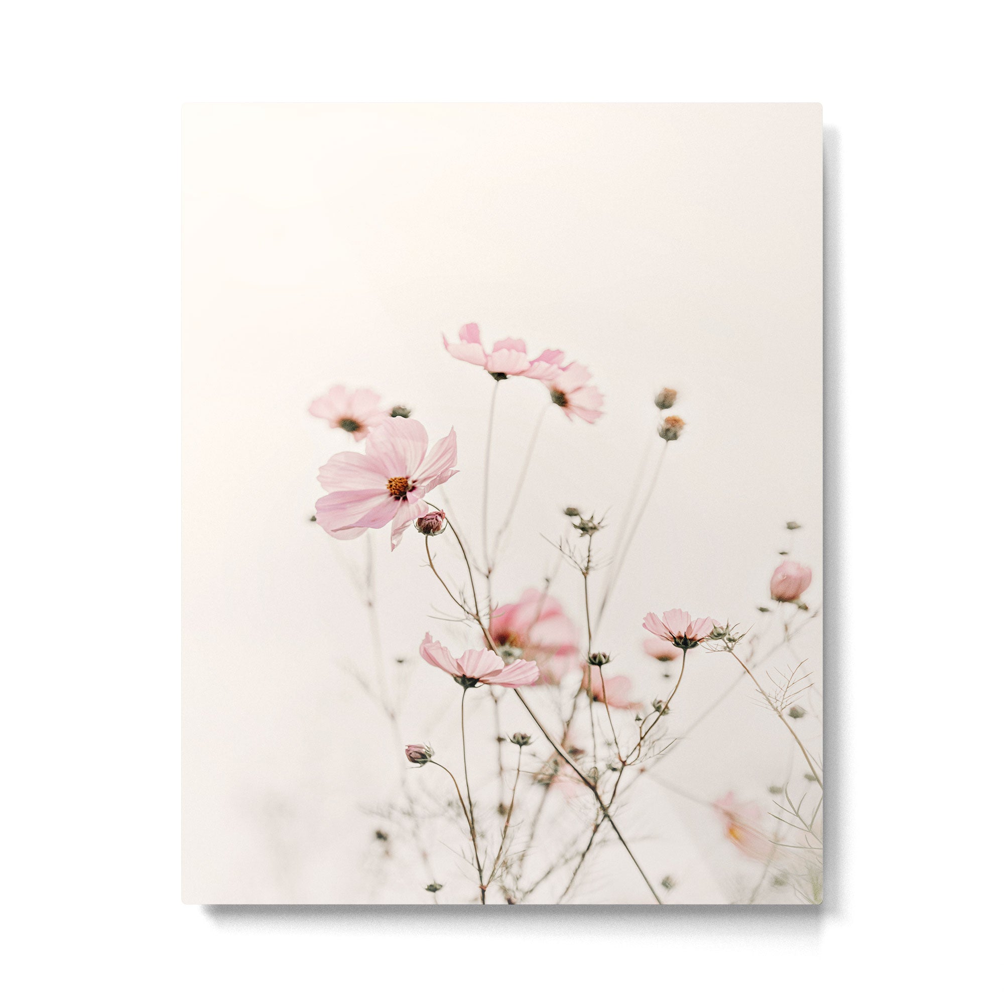 COSMEA DANCING CREME BEIGE Metal Print Gallery Image 6