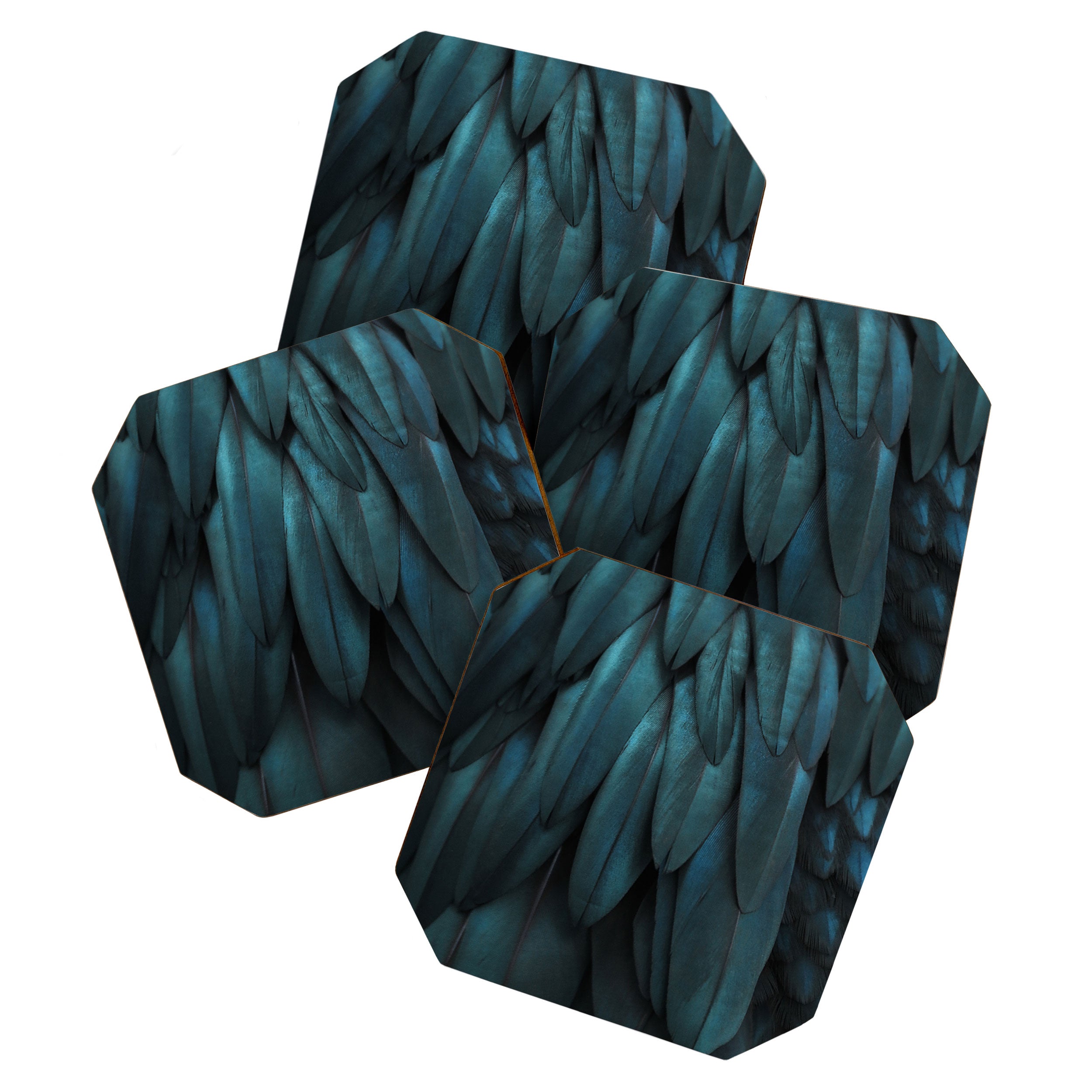 DARK FEATHERS Coaster Gallery Image 1