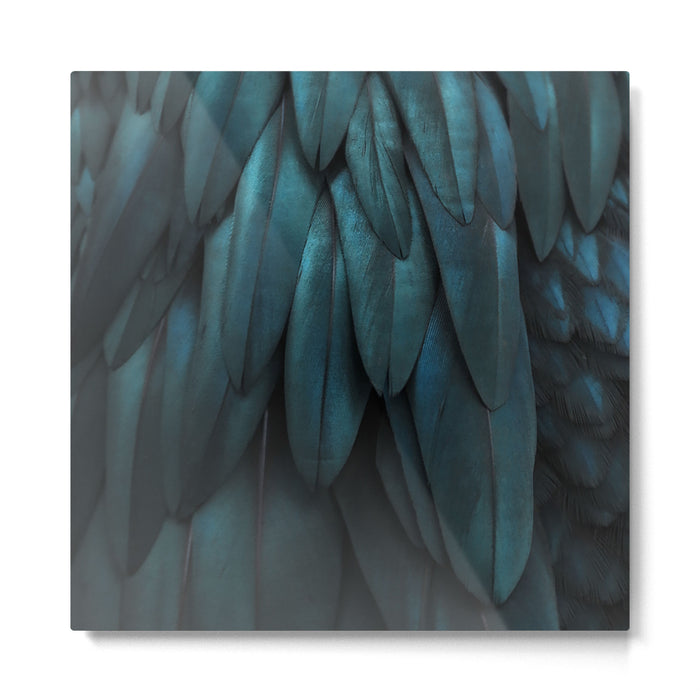 DARK FEATHERS Metal Print Gallery Image 1