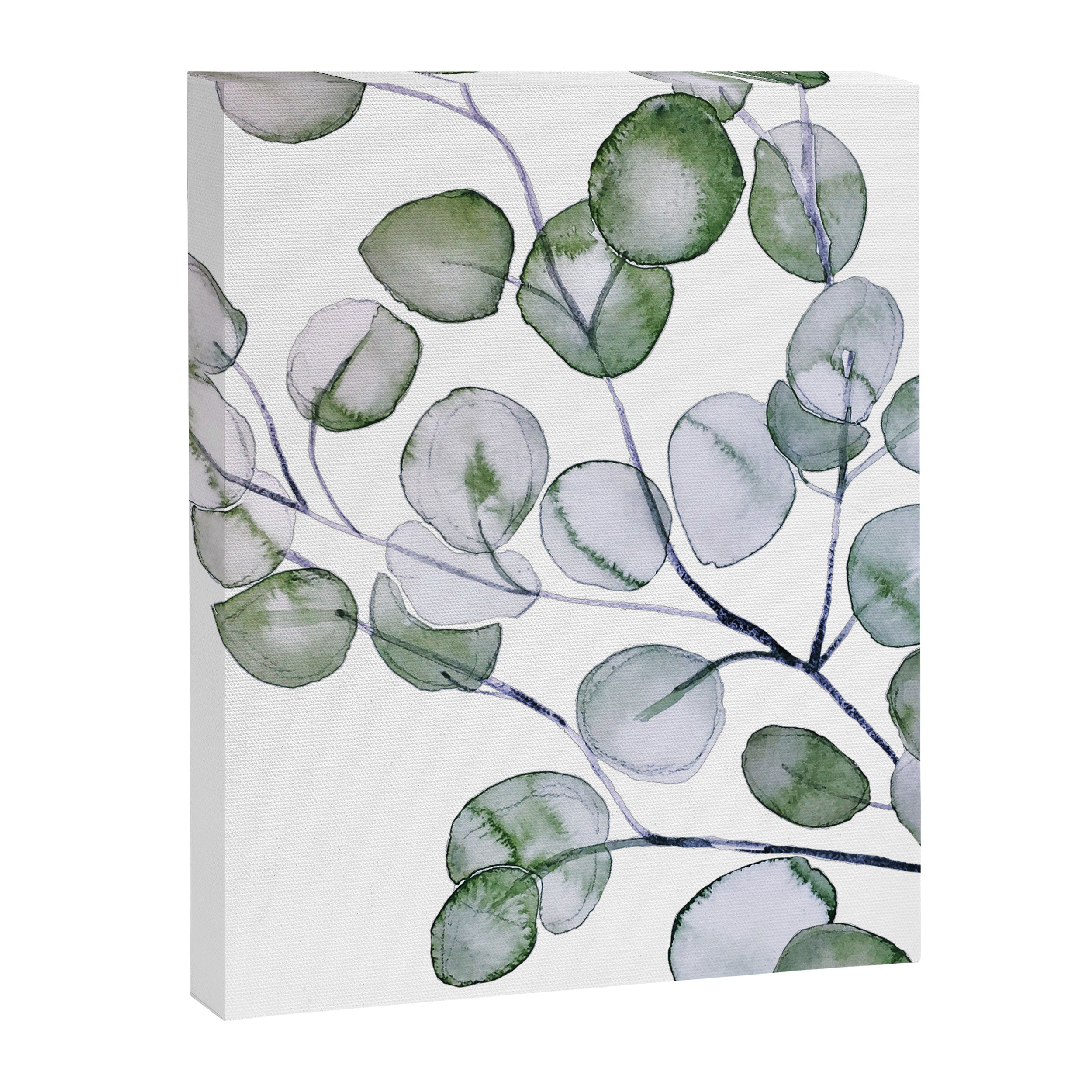 Eucalyptus Green Watercolor Canvas Print Gallery Image 8