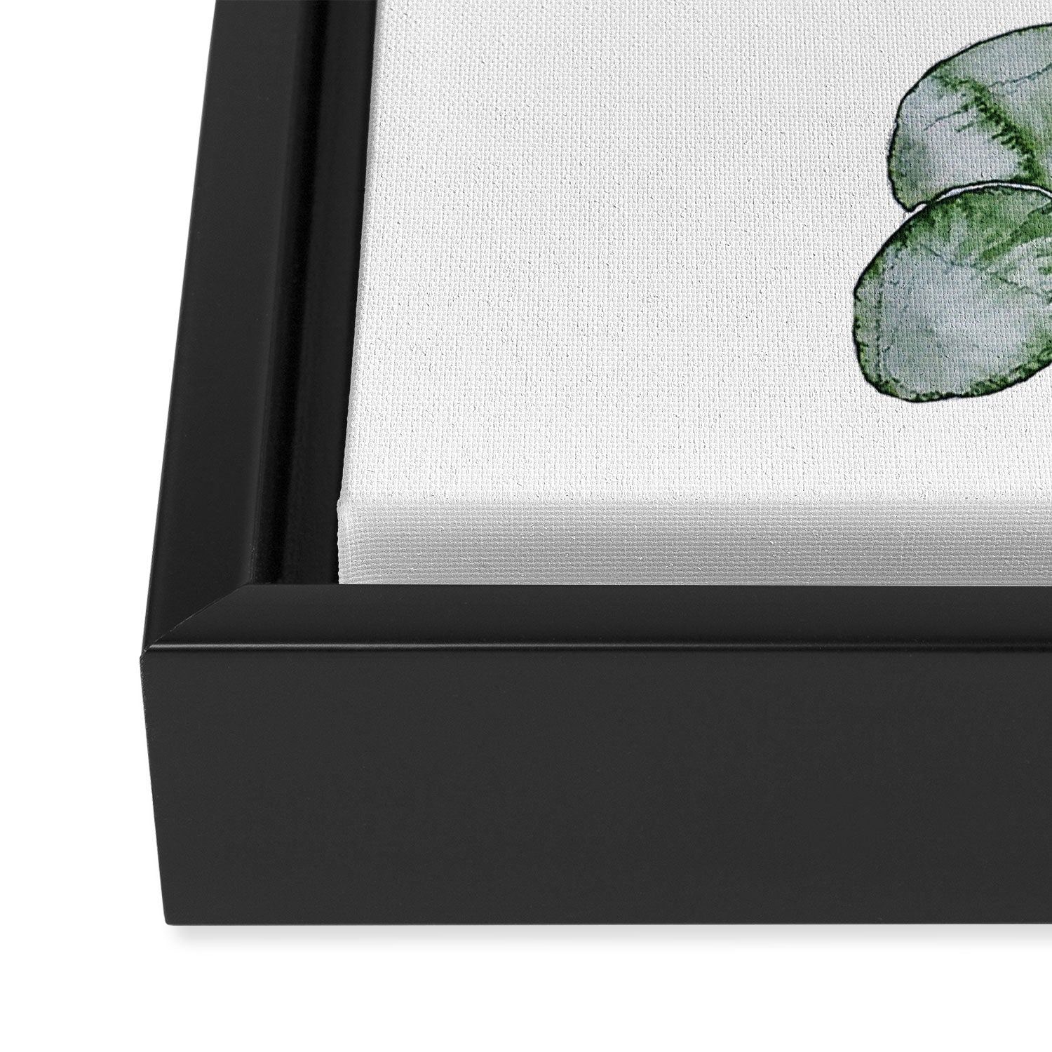 Eucalyptus Green Watercolor Framed Canvas Print Gallery Image 3