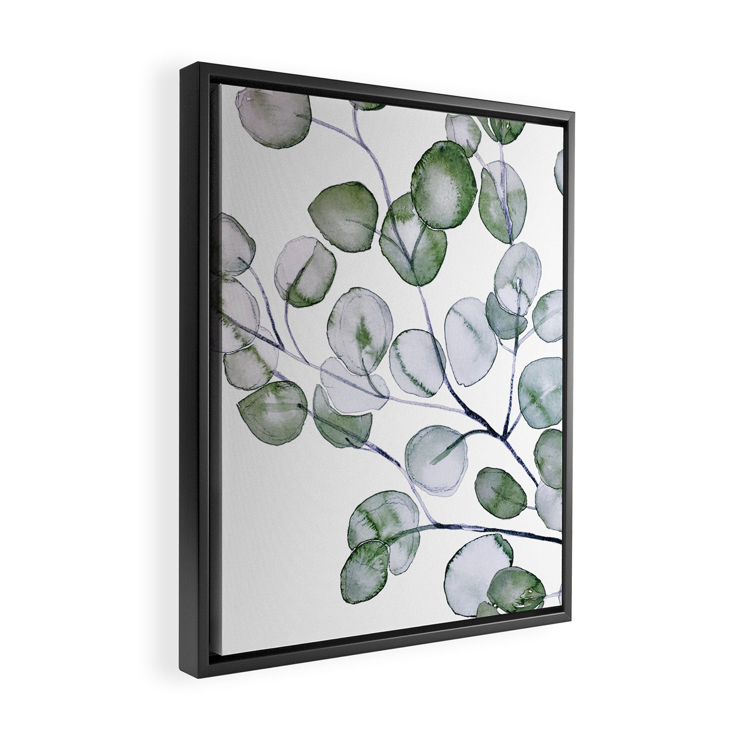 Eucalyptus Green Watercolor Framed Canvas Print Gallery Image 2