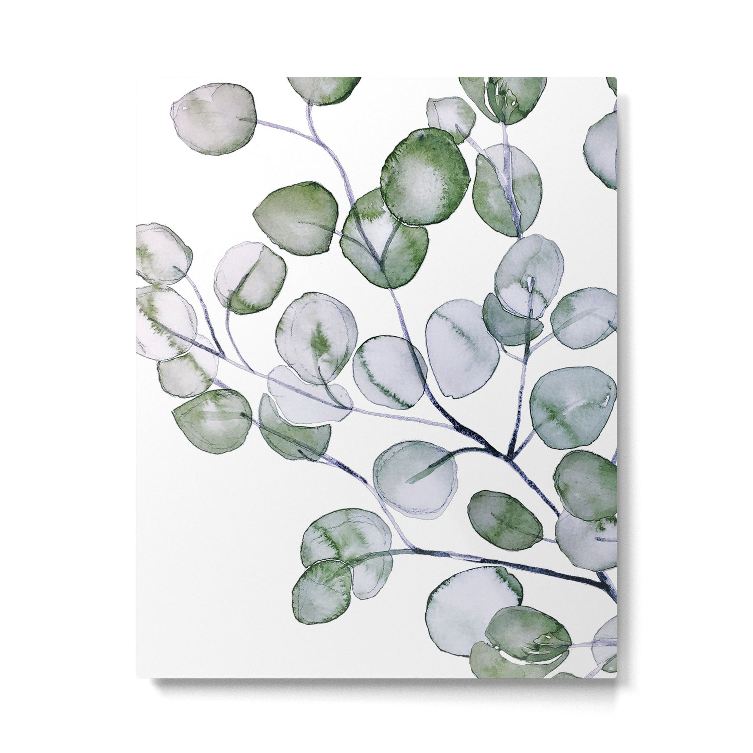 Eucalyptus Green Watercolor Metal Print Gallery Image 6