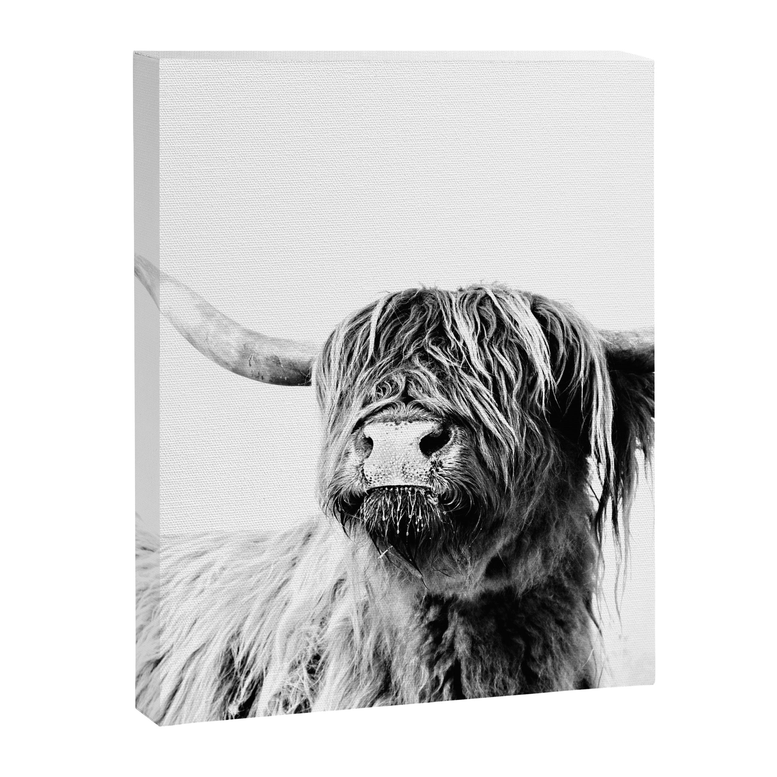 HIGHLAND CATTLE FRIDA Canvas Print Gallery Image 8