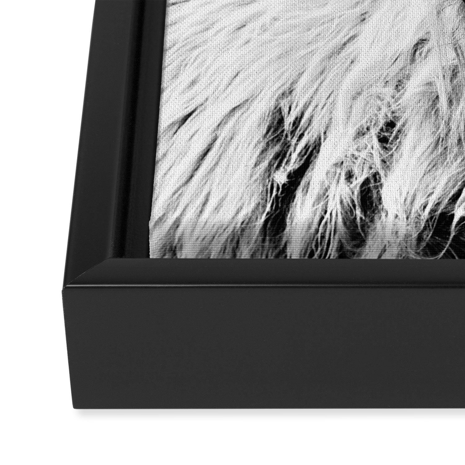 HIGHLAND CATTLE FRIDA Framed Canvas Print Gallery Image 3