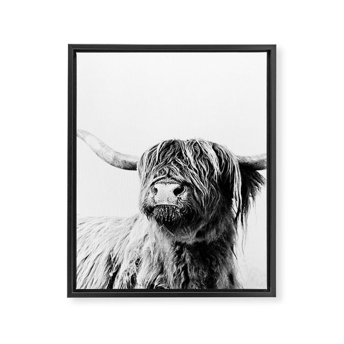 HIGHLAND CATTLE FRIDA Framed Canvas Print Gallery Image 1
