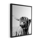 HIGHLAND CATTLE FRIDA Framed Canvas Print Gallery Image 2
