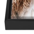 HIGHLAND CATTLE LULU Framed Canvas Print Gallery Image 3