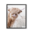 HIGHLAND CATTLE LULU Framed Canvas Print Gallery Image 8