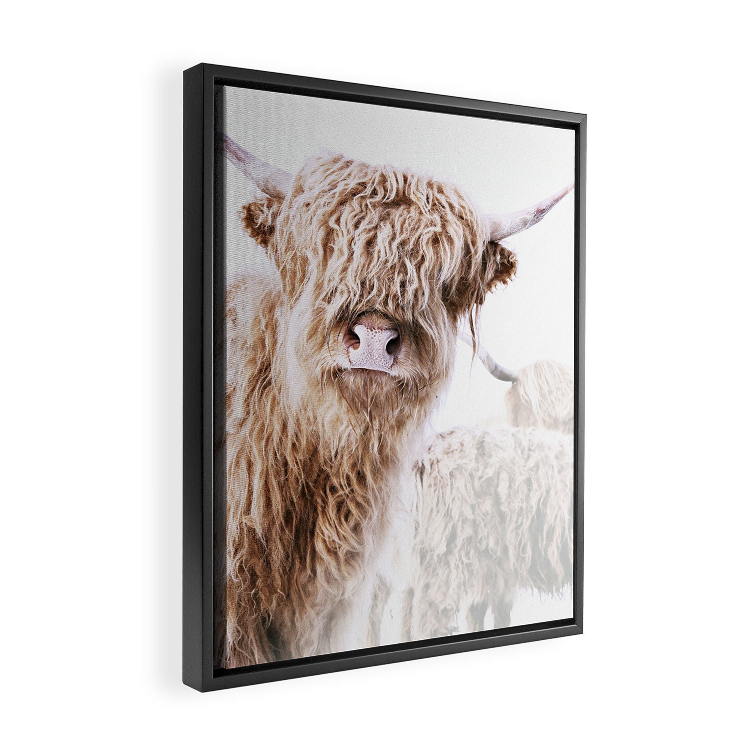 HIGHLAND CATTLE LULU Framed Canvas Print Gallery Image 2