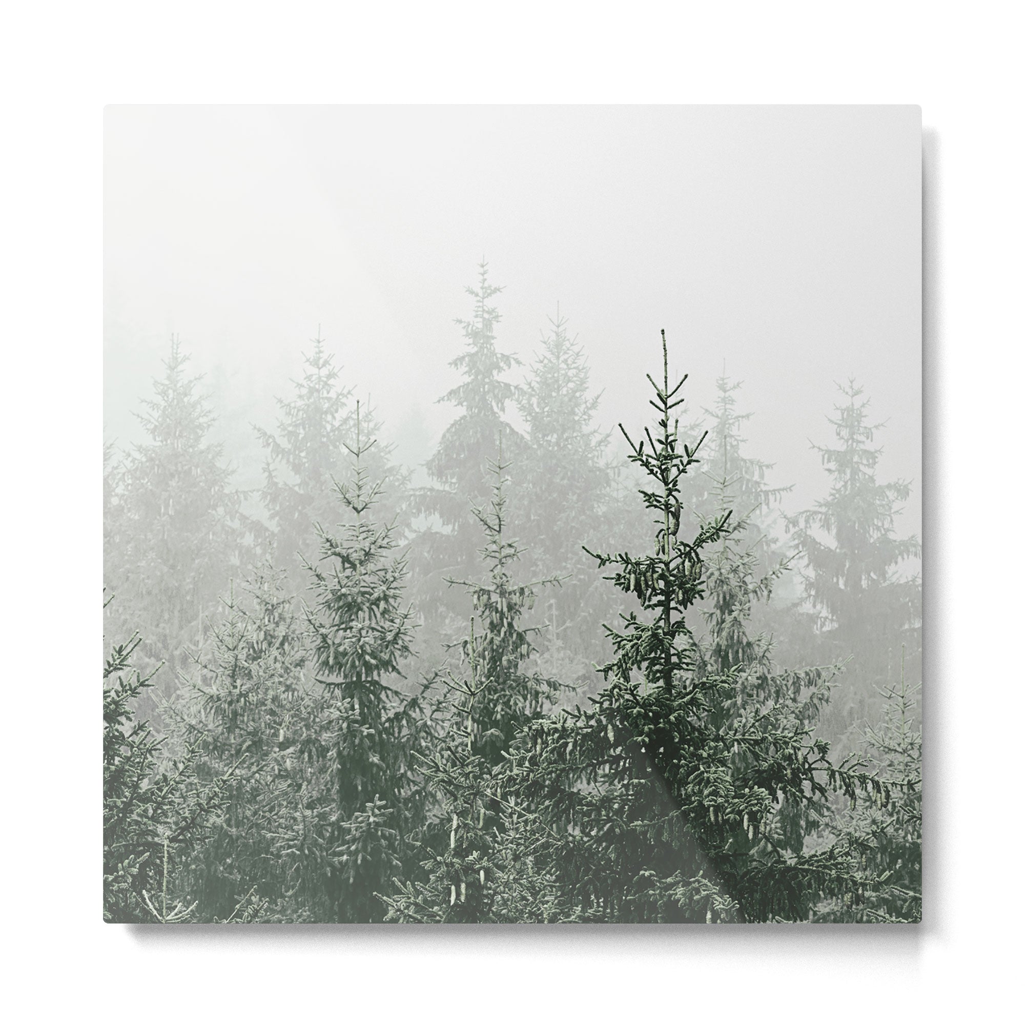 MOUNTAIN FOREST Metal Print Gallery Image 2