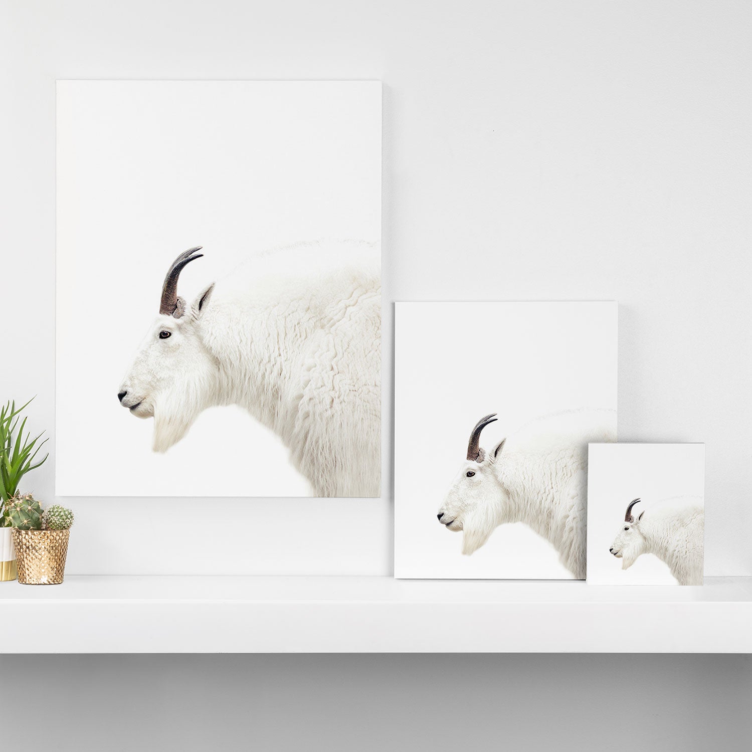 NORDIC MOUNTAIN GOAT Canvas Print Gallery Image 3