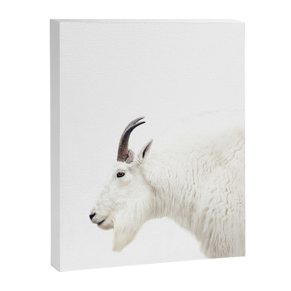 NORDIC MOUNTAIN GOAT Canvas Print Gallery Image 6