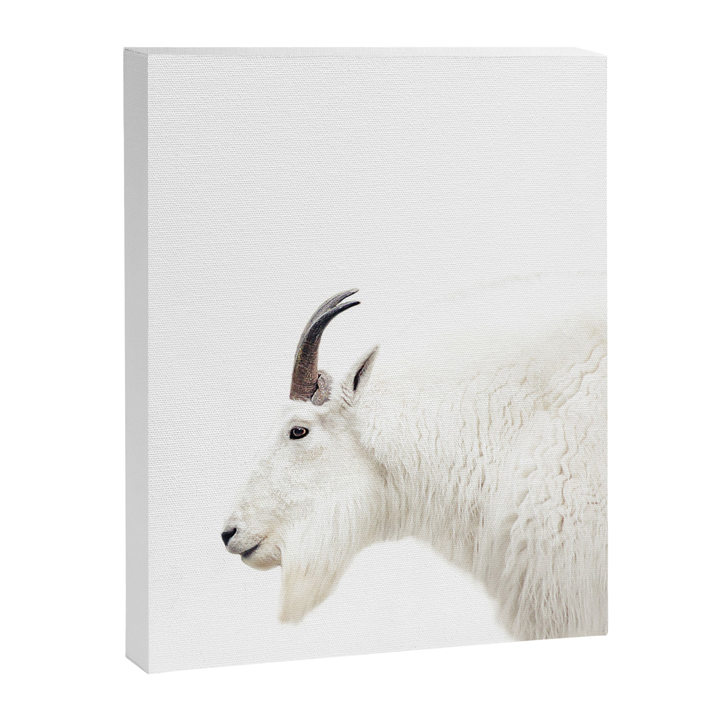 NORDIC MOUNTAIN GOAT Canvas Print Gallery Image 6
