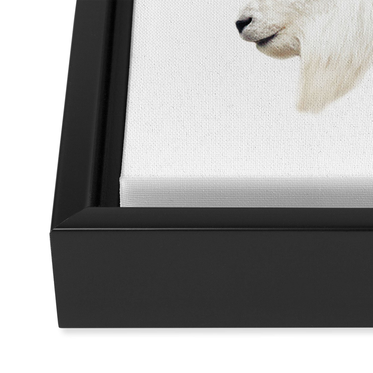 NORDIC MOUNTAIN GOAT Framed Canvas Print Gallery Image 3