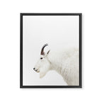 NORDIC MOUNTAIN GOAT Framed Canvas Print Gallery Image 6