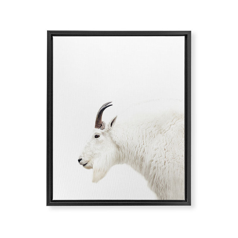 NORDIC MOUNTAIN GOAT Framed Canvas Print Gallery Image 6