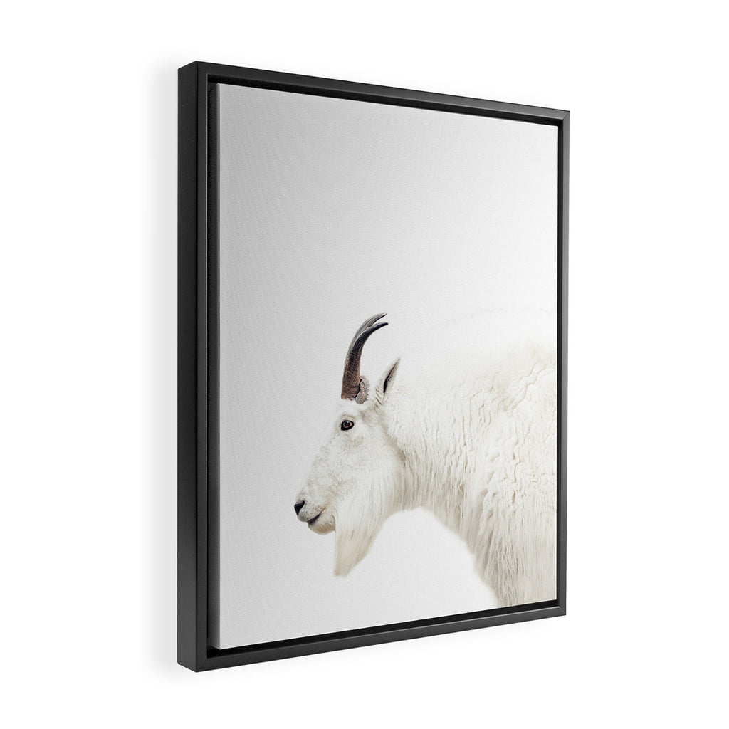 NORDIC MOUNTAIN GOAT Framed Canvas Print Gallery Image 2