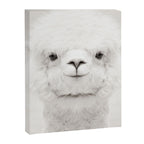 SMILING ALPACA Canvas Print Gallery Image 8