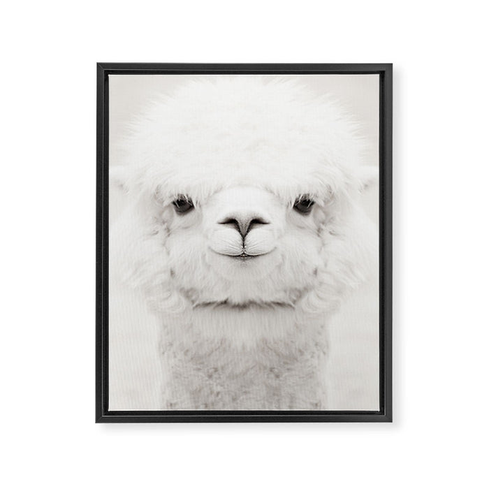SMILING ALPACA Framed Canvas Print Gallery Image 1