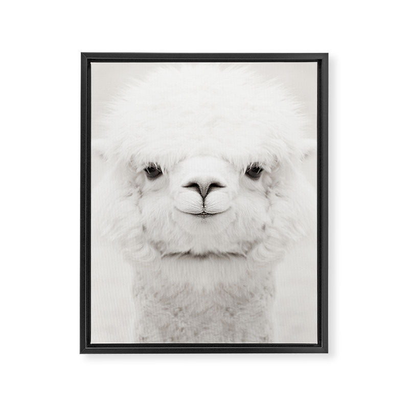 SMILING ALPACA Framed Canvas Print Gallery Image 8