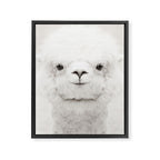 SMILING ALPACA Framed Canvas Print Gallery Image 8