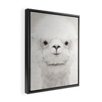 SMILING ALPACA Framed Canvas Print Gallery Image 2