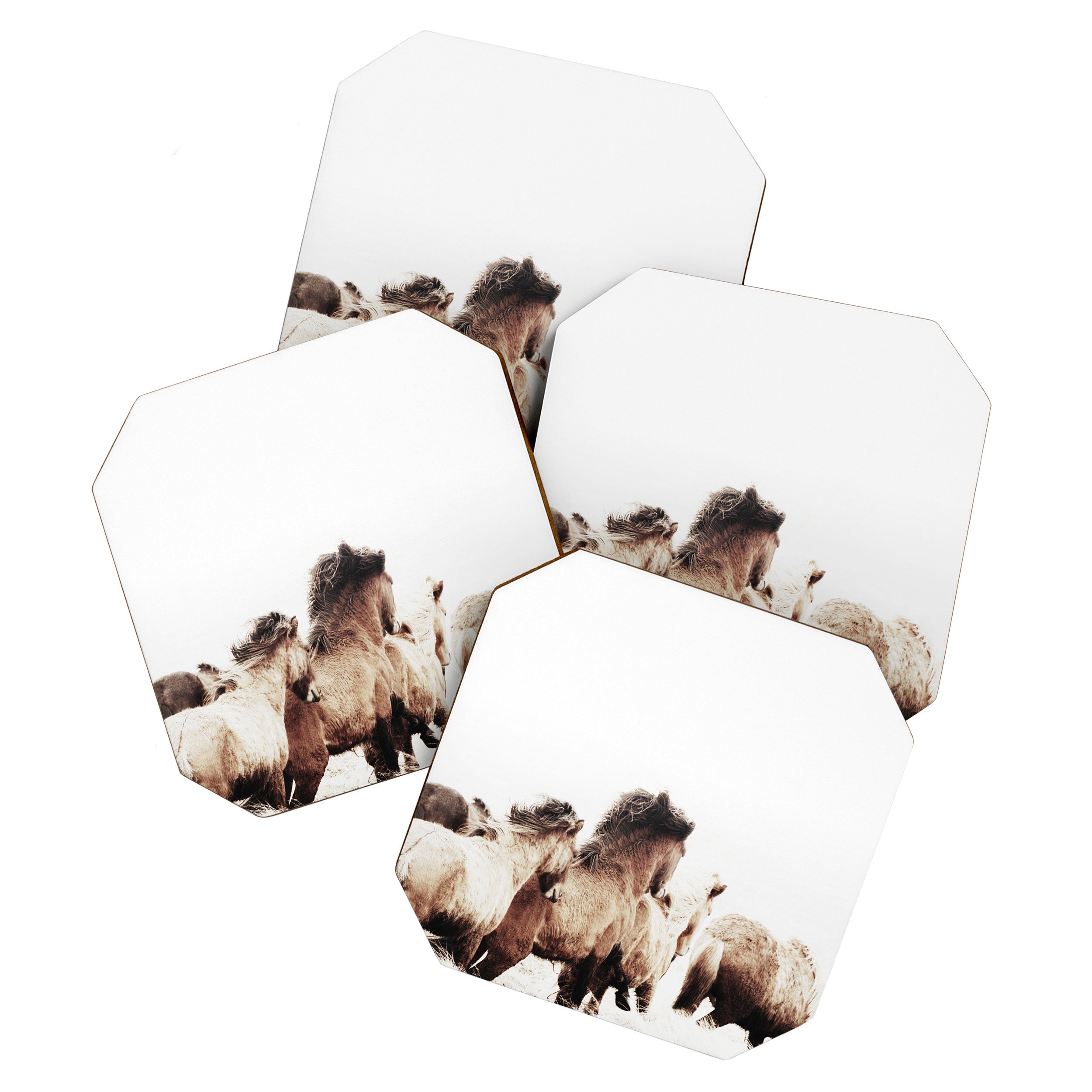 WILD AND FREE 2 - HORSES OF ICELAND Coaster Gallery Image 1
