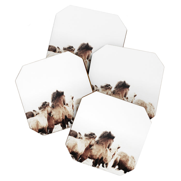 WILD AND FREE 2 - HORSES OF ICELAND Coaster Gallery Image 1